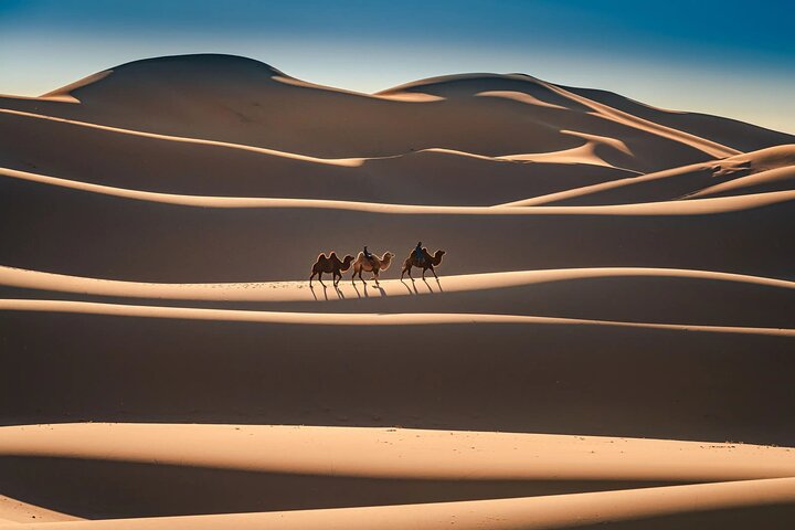 Gobi tour Mongolia with dinosaur fossils