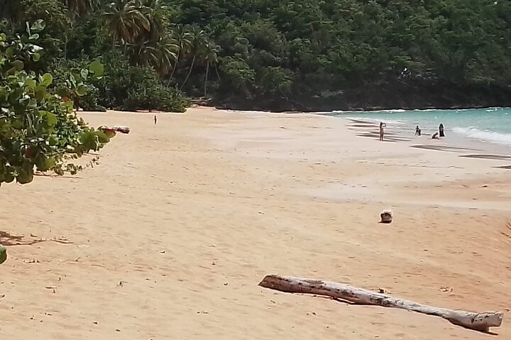 Adventure in Samaná : Lemon Leap and Lemon Jump.