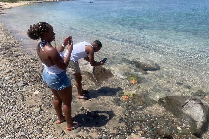 Ken's Beach Hopping Excursion