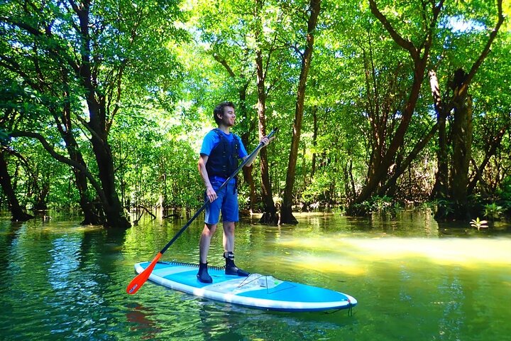 Ishigaki Mangrove Canoe or SUP & Taketomi Island Exploration