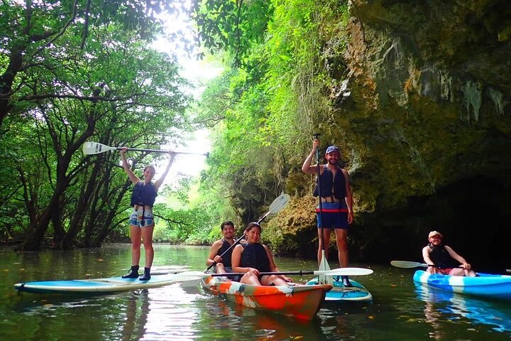 Ishigaki Mangrove Canoe or SUP & Taketomi Island Exploration