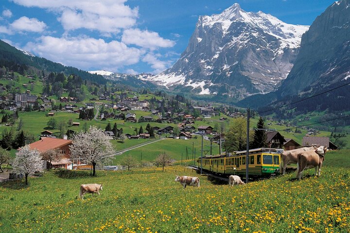 From Basel: Swiss Alps, Lauterbrunnen, Beatus Caves Small Group