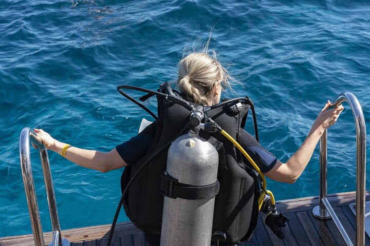 Ras Mohammed & White Island: Snorkel, Optional Dive & Lunch