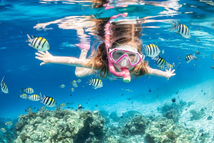 Ras Mohammed & White Island: Snorkel, Optional Dive & Lunch