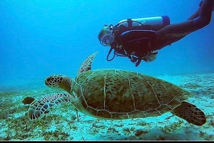 Anguilla Based: PADI Discover Scuba (Introductory Dive)