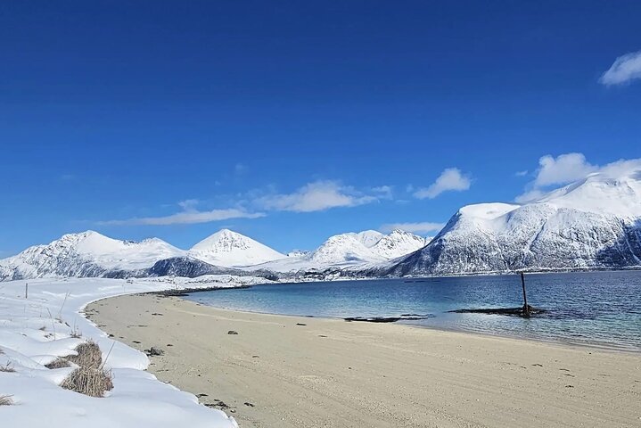 Tromso Excursion Artica Fjords and Sommaroy Islands with lunch