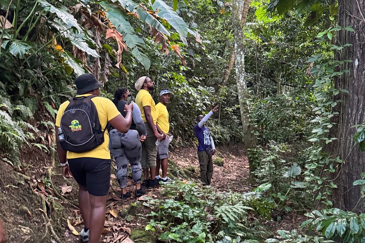 Scenic Hiking Trail Adventure of Montserrat