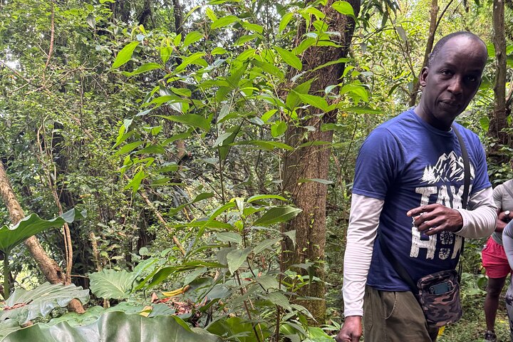 Scenic Hiking Trail Adventure of Montserrat