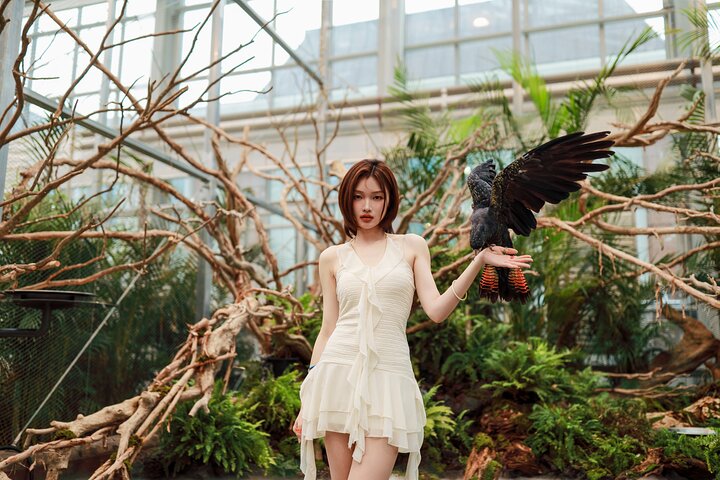 Gyeonggi Begonia Bird Park Ticket