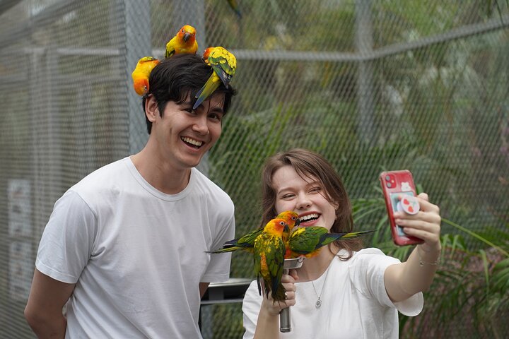 Gyeonggi Begonia Bird Park Ticket