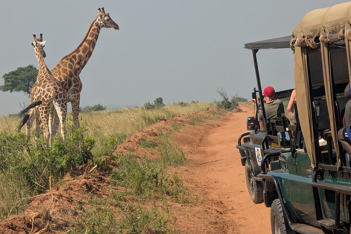 2 Days Murchison Falls 24hrs One Night Stay