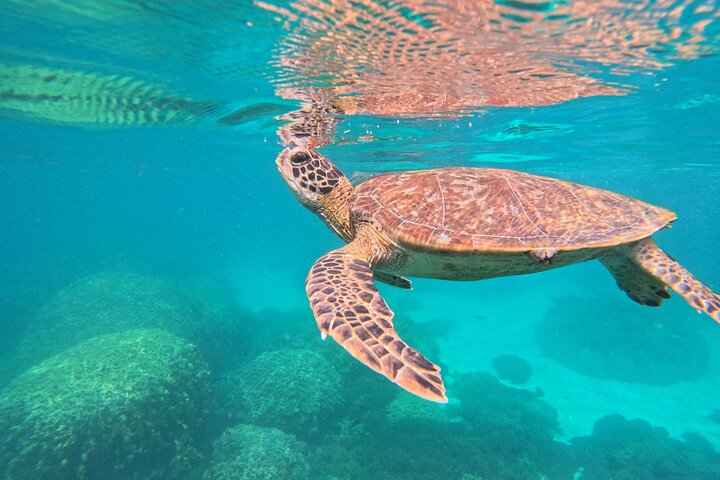 Daymaniyat Islands - Turtle Snorkel & Kayak Adventure