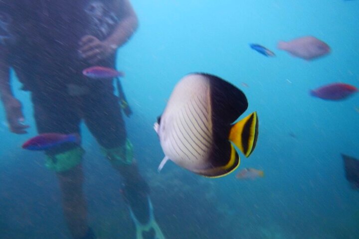 Semporna: Underwater Sea Walking Experience