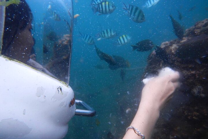 Semporna: Underwater Sea Walking Experience
