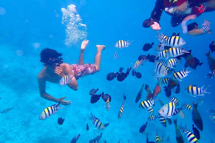 Semporna: Underwater Sea Walking Experience