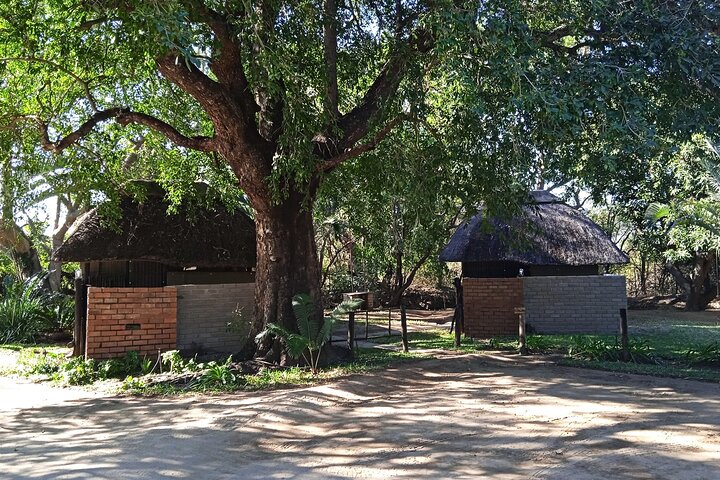 5 Day Kruger National Park tour
