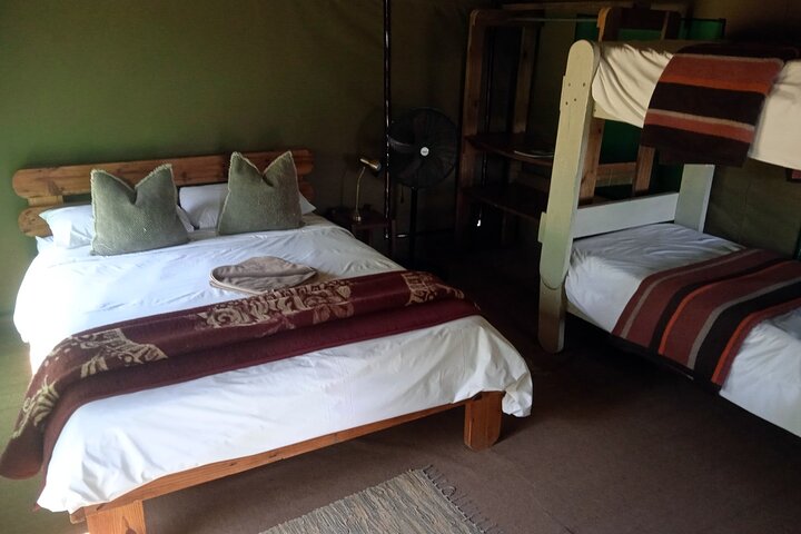 5 Day Kruger National Park tour