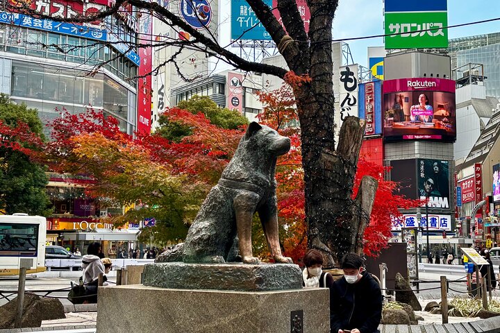 Tokyo Private Discovery Tour | Unique Insights & Must Sees