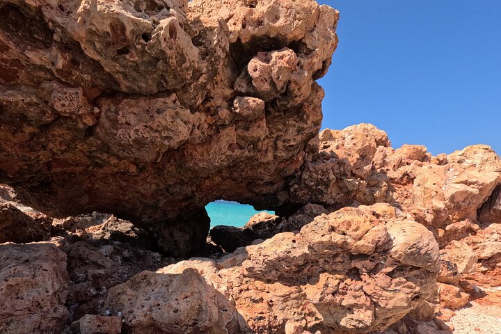 Daymaniyat Islands - Turtle Snorkel & Kayak Adventure
