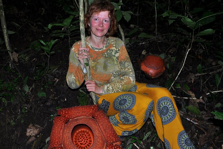 2 Days Private Tour to See Bull Race and Raflesia Arnoldi Flower
