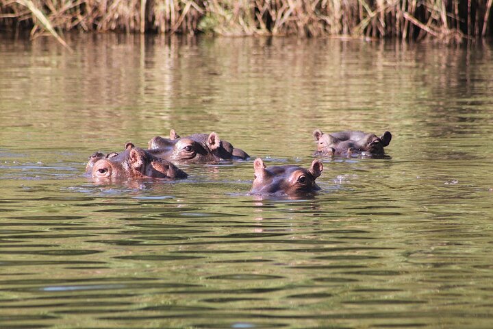 4 Day Kruger National Park Tour