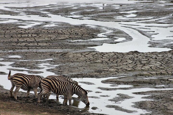 4 Day Kruger National Park Tour
