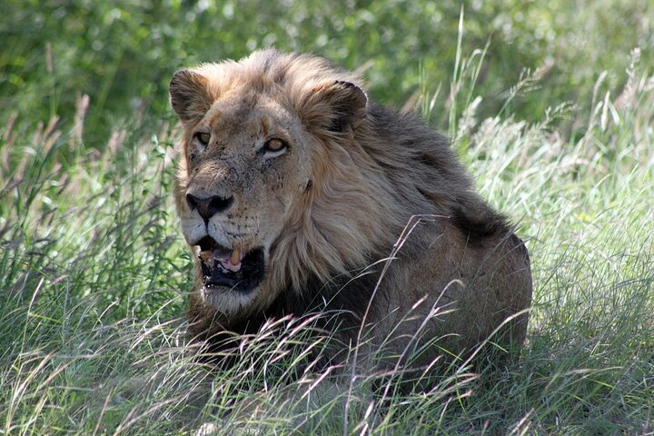 4 Day Kruger National Park Tour