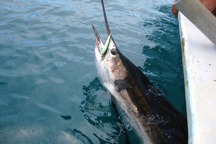 Semporna: Shallow or Deep Sea Fishing Tours with Guide