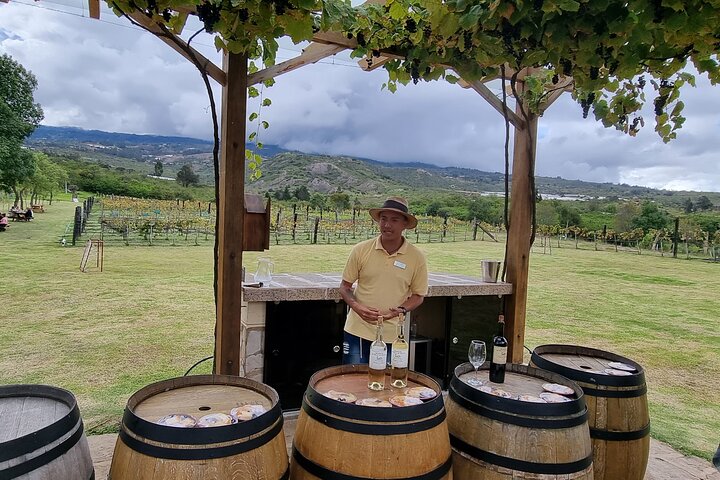 Villa de Leyva: Private Vineyard Tour with Wine & Food Pairing