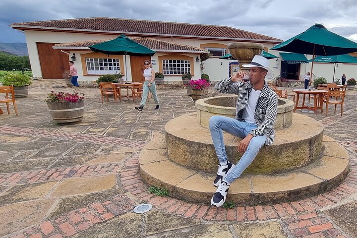 Villa de Leyva: Private Vineyard Tour with Wine & Food Pairing