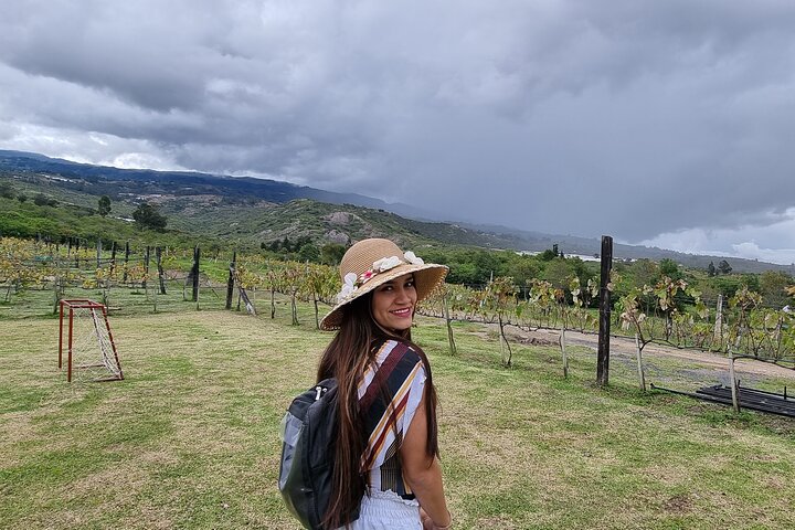 Villa de Leyva: Private Vineyard Tour with Wine & Food Pairing