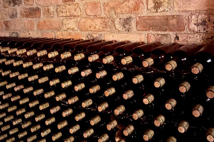 Villa de Leyva: Private Vineyard Tour with Wine & Food Pairing
