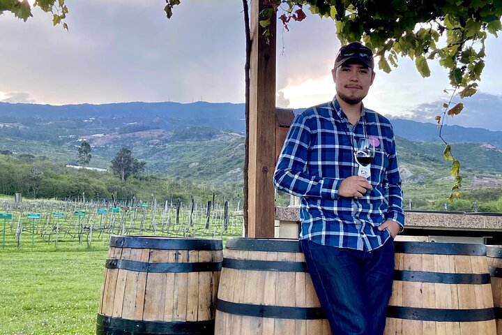 Villa de Leyva: Private Vineyard Tour with Wine & Food Pairing