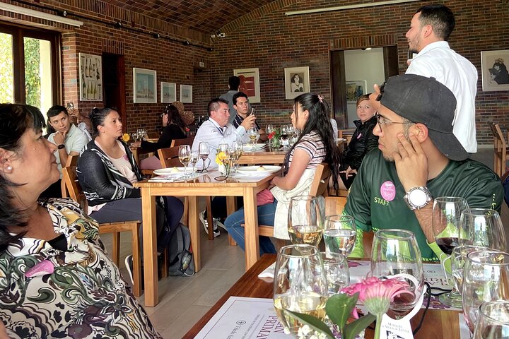 Villa de Leyva: Private Vineyard Tour with Wine & Food Pairing