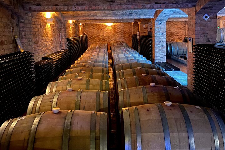 Villa de Leyva: Private Vineyard Tour with Wine & Food Pairing