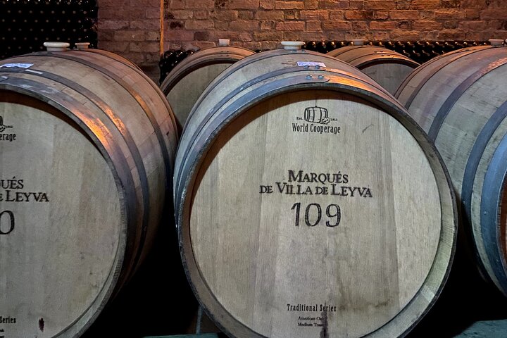 Villa de Leyva: Private Vineyard Tour with Wine & Food Pairing