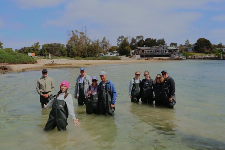 Coffin Bay Oyster Farm Wading Tour & Tasting Experience