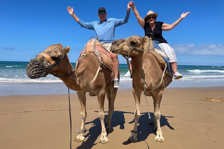 Authentic Full Day Private Tour of Tangier