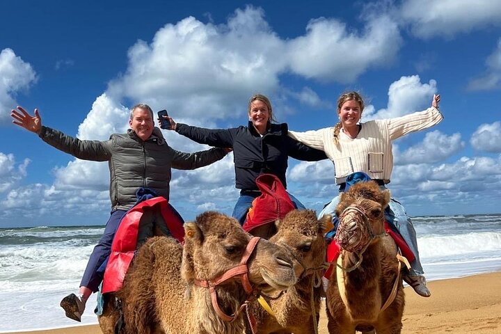 Authentic Full Day Private Tour of Tangier