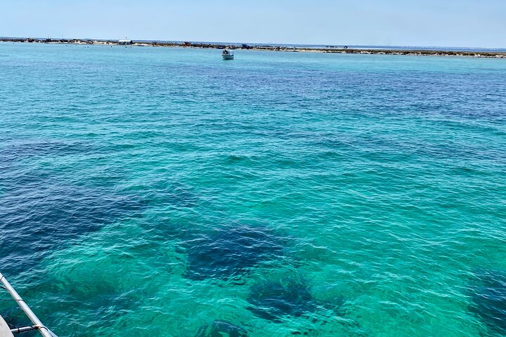 Excursion to Kuriat Island by Yacht