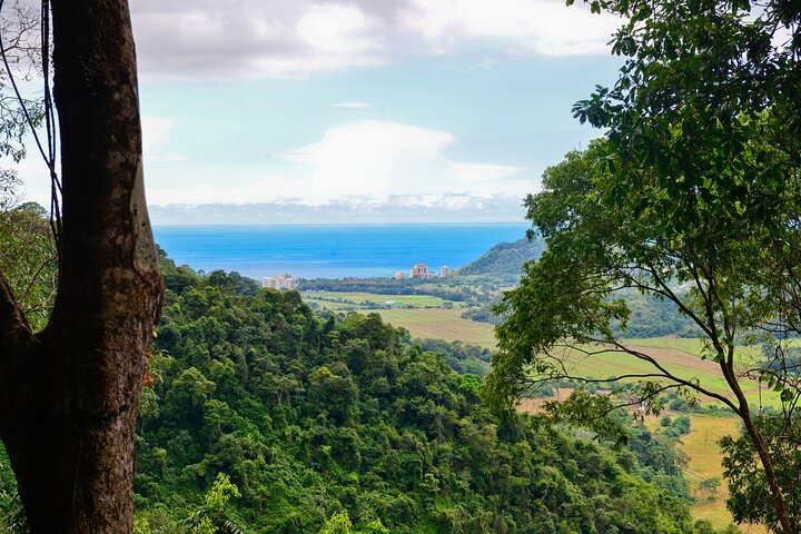 Rainforest Aerial Tram Tour in Jaco, Costa Rica