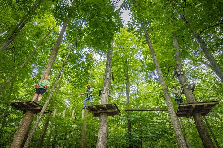 TimberTrek Treetop Challenge Adventure