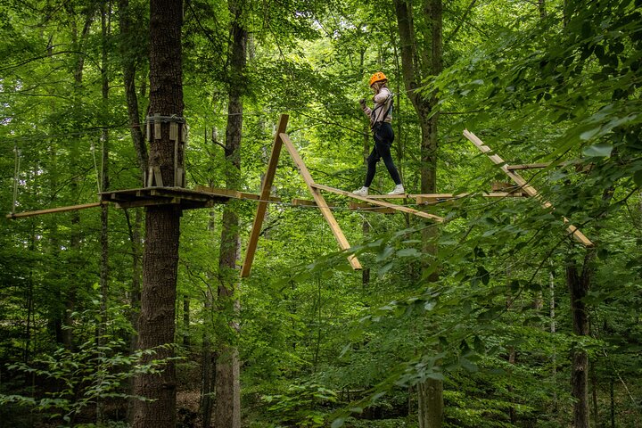 TimberTrek Treetop Challenge Adventure