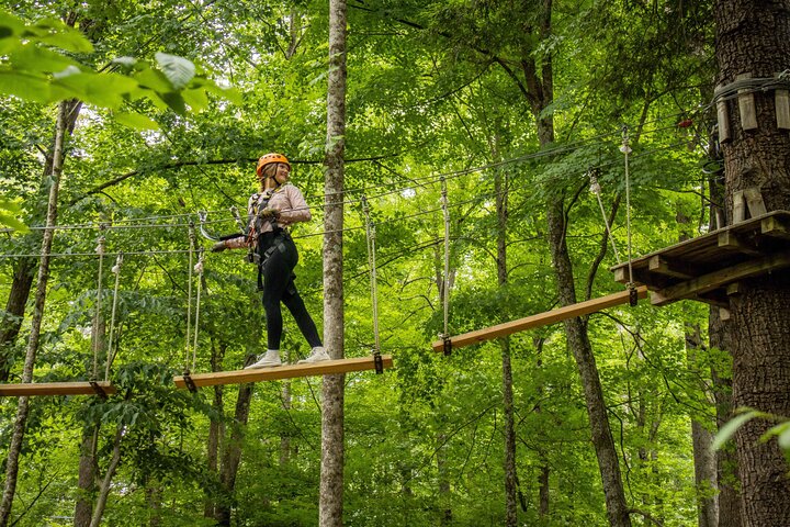 TimberTrek Treetop Challenge Adventure