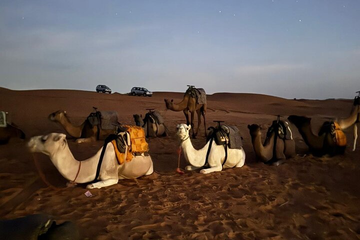 Merzouga Desert – Camel Ride & Overnight in the Camp