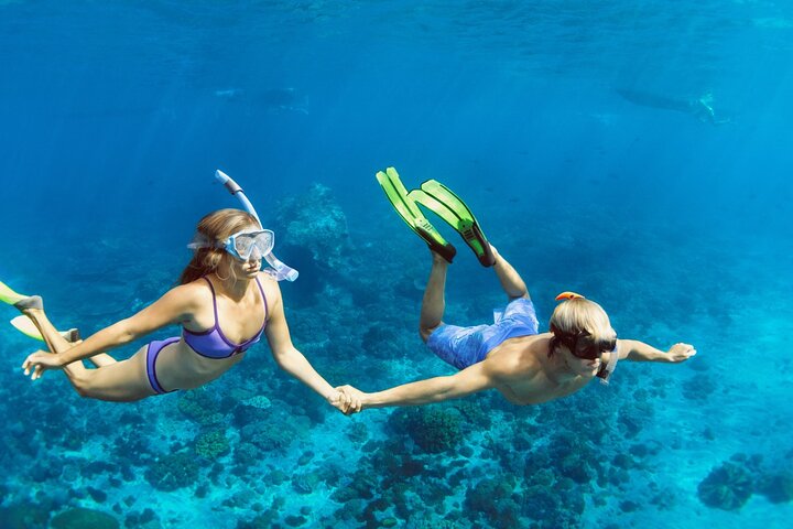 Shaab Samadai, Snorkeling Adventure & Coral Reef at Marsa Alam