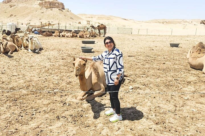 Full Day licensed Tours in Kuwait City & Desert PickUp & DropOff