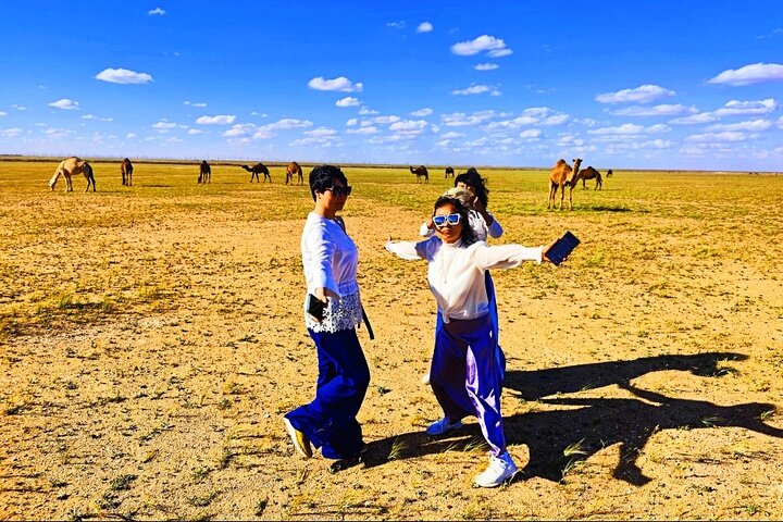 Full Day licensed Tours in Kuwait City & Desert PickUp & DropOff