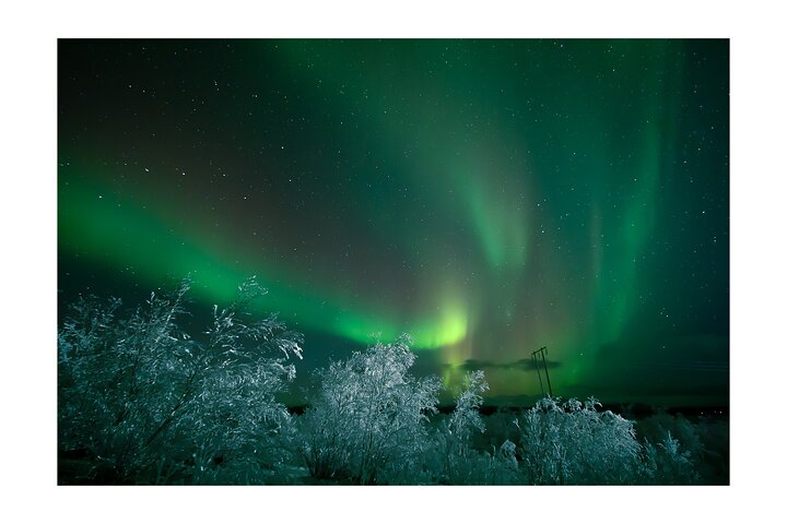 Kiruna: Aurora Chase with Street Food Dinner & Nature Guides