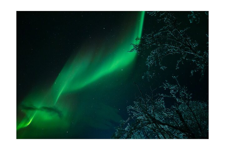 Kiruna: Aurora Chase with Street Food Dinner & Nature Guides